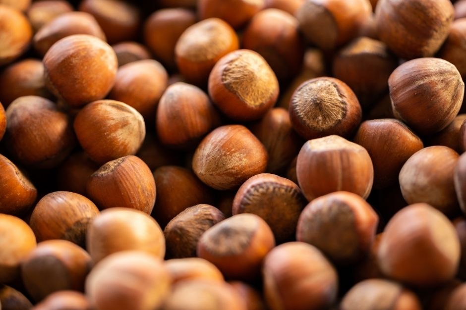 Lots of hazelnuts